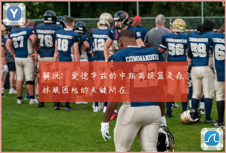解说：爱德华兹的中距离投篮是森林狼团结的关键所在