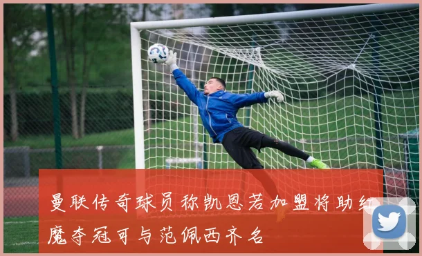 曼联传奇球员称凯恩若加盟将助红魔夺冠可与范佩西齐名